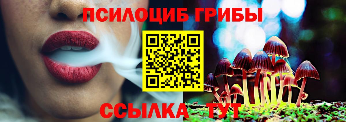 Галлюциногенные грибы GOLDEN TEACHER  Вход с VPN  Пятигорск 